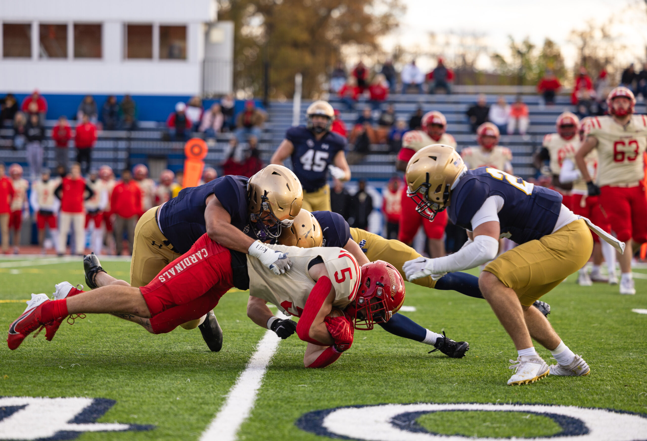 Week 10 Preview: Blue Streaks Welcome Pioneers with Playoff Implications