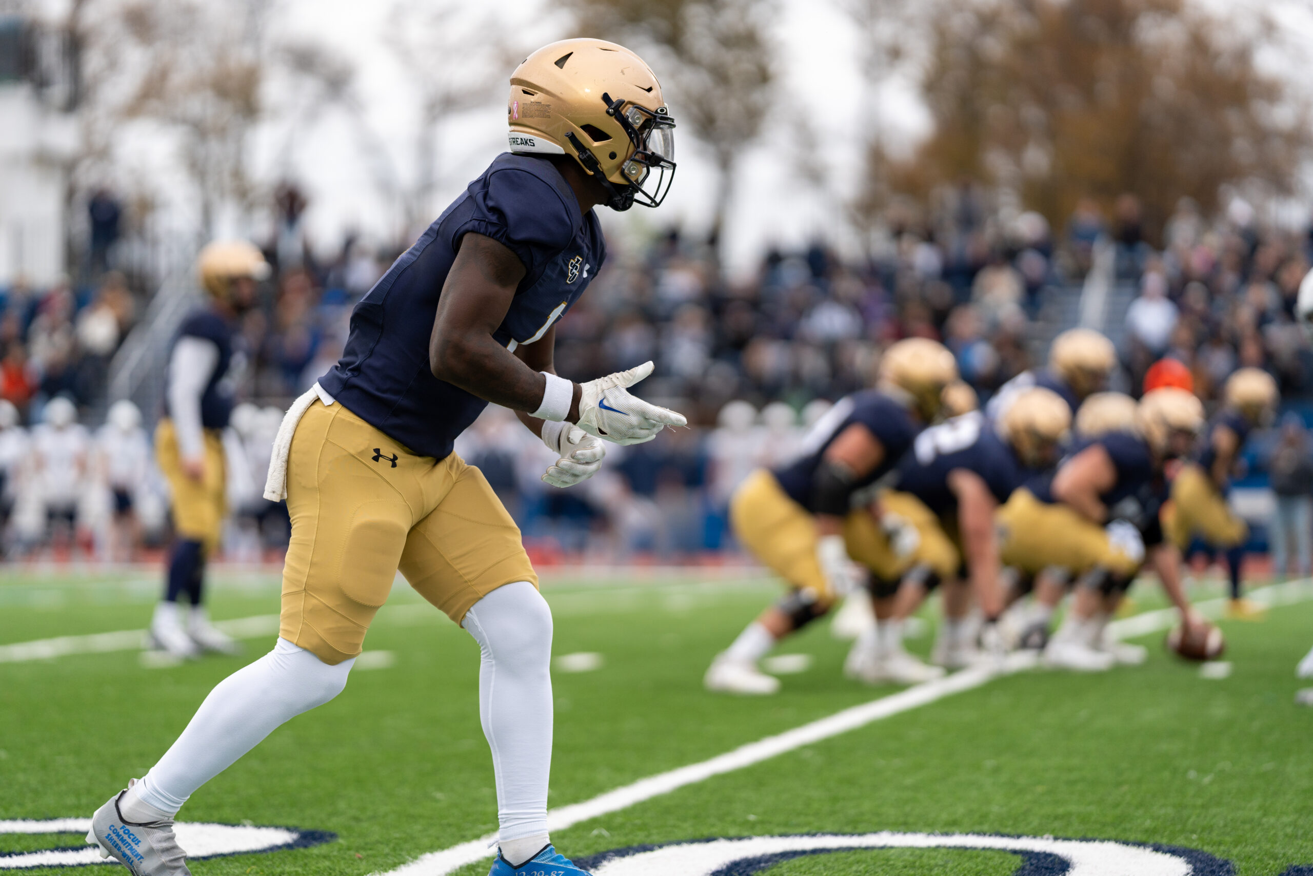 NCAA First Round Preview: JCU Starts Playoffs vs. MSJ at Home